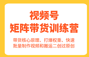 视频号矩阵带货训练营，带货核心原理、打爆权重、快速批量制作视频和搬运二创过原创