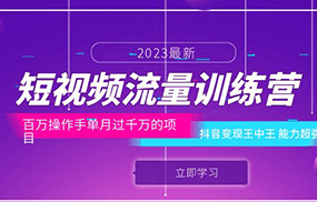 短视频流量训练营：百万操作手单月过千万的项目：抖音变现王中王 能力超强