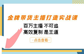 金牌带货主播打造实战课：百万主播 不可追，高效复制 是王道