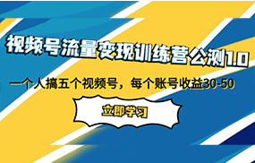 视频号流量变现训练营公测1.0：一个人搞五个视频号，每个账号收益30-50