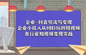 企业-抖音引流与变现：企业小投入从0到1玩转短视频 各行业知视频变现实战