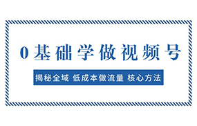 0基础学做视频号：揭秘全域 低成本做流量 核心方法 快速出爆款 轻松变现