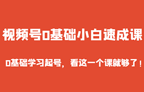 视频号0基础小白速成课，0基础学习起号，看这一个课就够了！