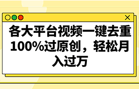 各大平台视频一键去重，100%过原创，轻松月入过万！