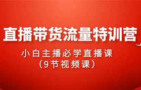 2024直播带货流量特训营，小白主播必学直播课