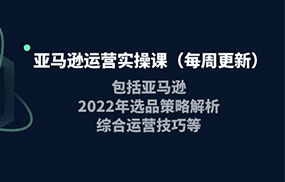 亚马逊运营实操课，包括亚马逊2022选品策略解析，综合运营技巧等