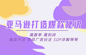 亚马逊打造爆款秘诀：高客单 高利润 推品方法 类目广告玩法 SOP详解等等