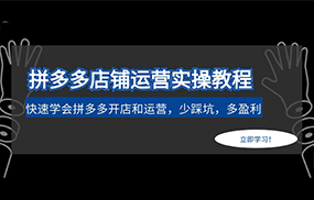 拼多多店铺运营实操教程：快速学会拼多多开店和运营，少踩坑，多盈利