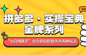 拼多多·实操宝典：金牌系列“小白到高手”带你全方位玩转拼多多各种玩法