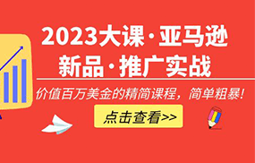 大课·亚马逊新品·推广实战：价值百万美金的精简课程，简单粗暴