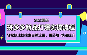 拼多多-新品打爆实操流程：轻松快速拉搜索自然流量，更落地·快速提升