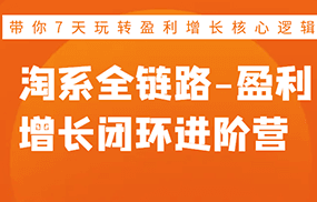 淘系全链路-盈利增长闭环进阶营，带你7天玩转盈利增长核心逻辑