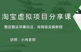 淘宝虚拟整店搬运采集玩法分享课：整店搬运采集玩法，保姆级实操教程