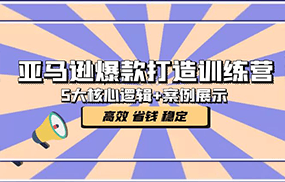 亚马逊爆款打造训练营：5大核心逻辑+案例展示 打造爆款链接 高效 省钱 稳定