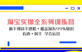 淘宝实战宝典+淘系全系列进阶，初级到进阶，覆盖淘系99%的知识，看透对手自然会运营