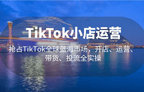 TikTok小店运营 抢占TikTok全球蓝海市场，开店、运营、带货、投流全实操