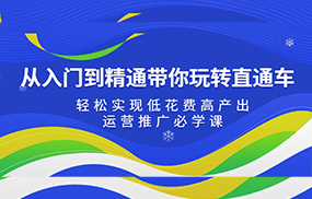 从入门到精通带你玩转直通车：轻松实现低花费高产出，35节运营推广必学课