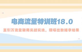 电商流量特训班18.0，直引万流量破局实操玩法，现场出数据拿结果