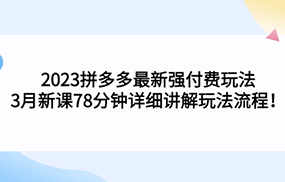 拼多多最新强付费玩法，3月新课78分钟详细讲解玩法流程