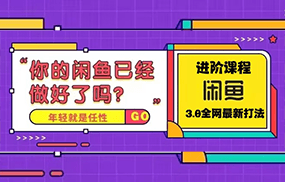 火爆全网的咸鱼玩法进阶课程，单号日入1K的咸鱼进阶课程