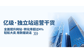 亿级独立站运营干货：全面提升网站·转化率超过4%，轻松大卖 用数据说话