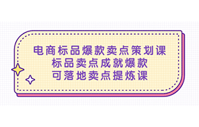 电商标品爆款卖点策划课，标品卖点成就爆款，可落地卖点提炼课