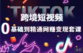 跨境短视频TIKTOK 0基础到精通网赚变现套课，跨境短视频独立站带货变现技巧