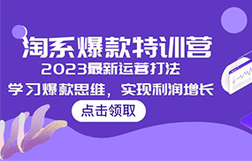 淘系爆款特训营，2023最新运营打法，学习爆款思维，实现利润增长