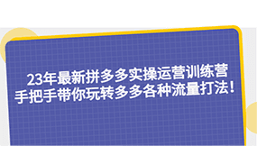 最新拼多多实操运营训练营：手把手带你玩转多多各种流量打法