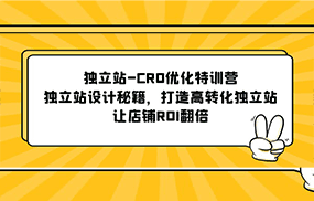 独立站-CRO优化特训营，独立站设计秘籍，打造高转化独立站，让店铺ROI翻倍