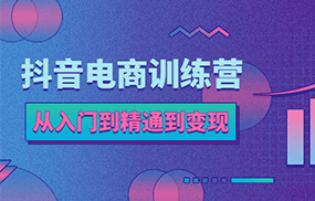 抖音电商训练营：从入门到精通，从账号定位到流量变现，抖店运营实操