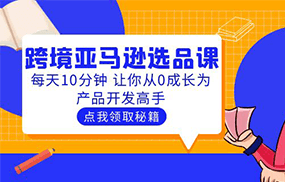 聪明人都在学的跨境亚马逊选品课：每天10分钟 让你从0成长为产品开发高手