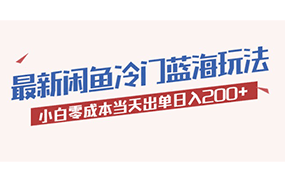 最新闲鱼冷门蓝海玩法，小白零成本当天出单日入200+