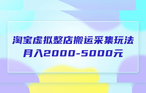 淘宝虚拟整店搬运采集玩法分享课：月入2000-5000元