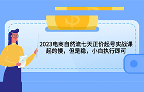 2023电商自然流七天正价起号实战课：起的慢，但是稳，小白执行即可