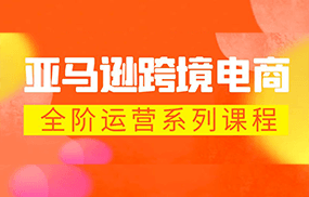 亚马逊跨境-电商全阶运营系列课程 每天10分钟，让你快速成为亚马逊运营高手