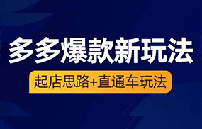 2023拼多多爆款·新玩法：起店思路+直通车玩法