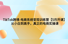 TikTok跨境-电商系统变现训练营【5月新课】从小白到高手，真正的电商实操课