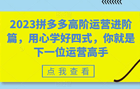 2023拼多多高阶运营进阶篇，用心学好四式，你就是下一位运营高手