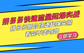 拼多多-快速流量起爆实战，拼多多新品快速起爆实操，看完不走弯路