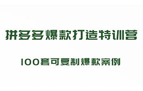 拼多多爆款打造特训营，199元*100套可复制爆款案例