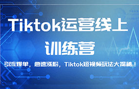 Tiktok运营线上训练营，引流爆单，急速涨粉，Tiktok短视频玩法大揭秘！