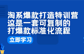 淘系爆款打造特训营：这是一套可复制的打爆款标准化流程