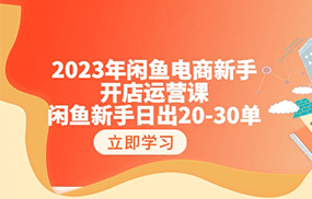 2023年闲鱼电商新手开店运营课：闲鱼新手日出20-30单