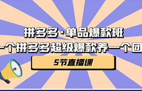 拼多多·单品爆款班，一个拼多多超级爆款养一个团队