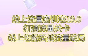 线上流量密训班19.0，打通流量关卡，线上也能实战流量破局