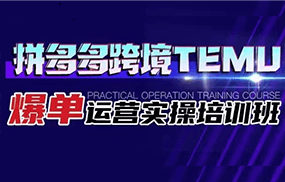 拼多多跨境TEMU爆单运营实操培训班 海外拼多多的选品、运营、爆单