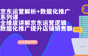 京东运营解析与数据化推广系列课，全维度讲解京东运营逻辑+数据化推广提升店铺销售额