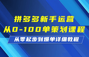 拼多多新手运营从0-100单策划课程，从零起步到爆单详细教程