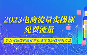 2023电商流量实操课-免费流量，学会可收获正确打开免费流量的技巧和方法